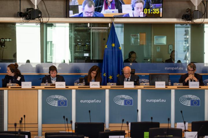 Civil Liberties, Justice and Home Affairs (LIBE)