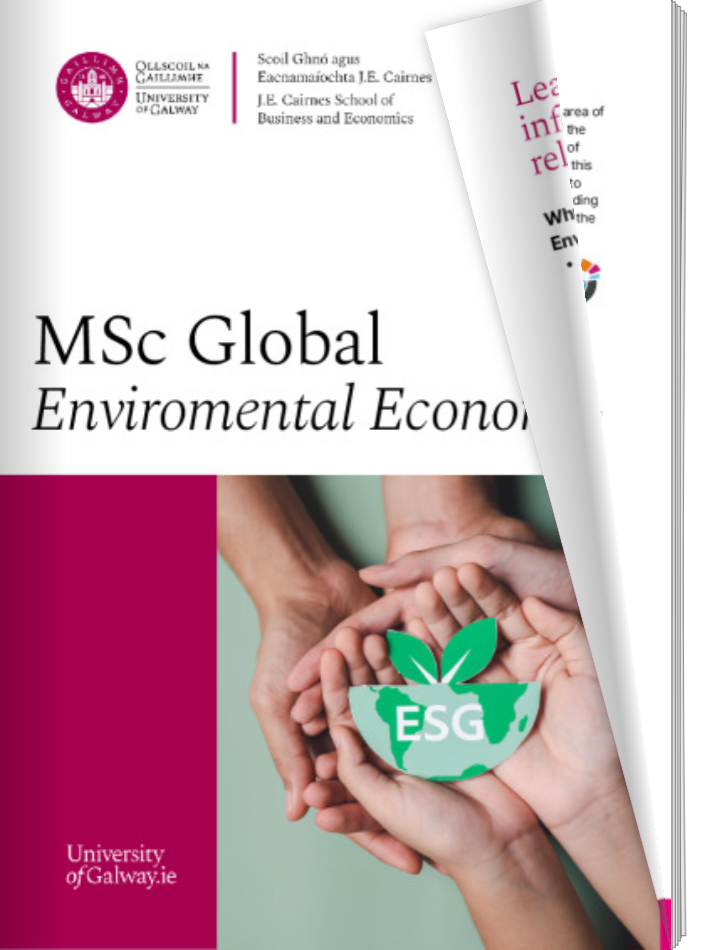 Digital Brochure MSc Global Environmental Economics 2024